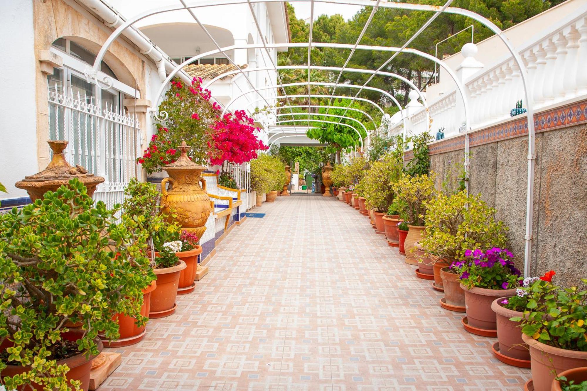 פגוארה Atalaya Bosque Apartamentos מראה חיצוני תמונה