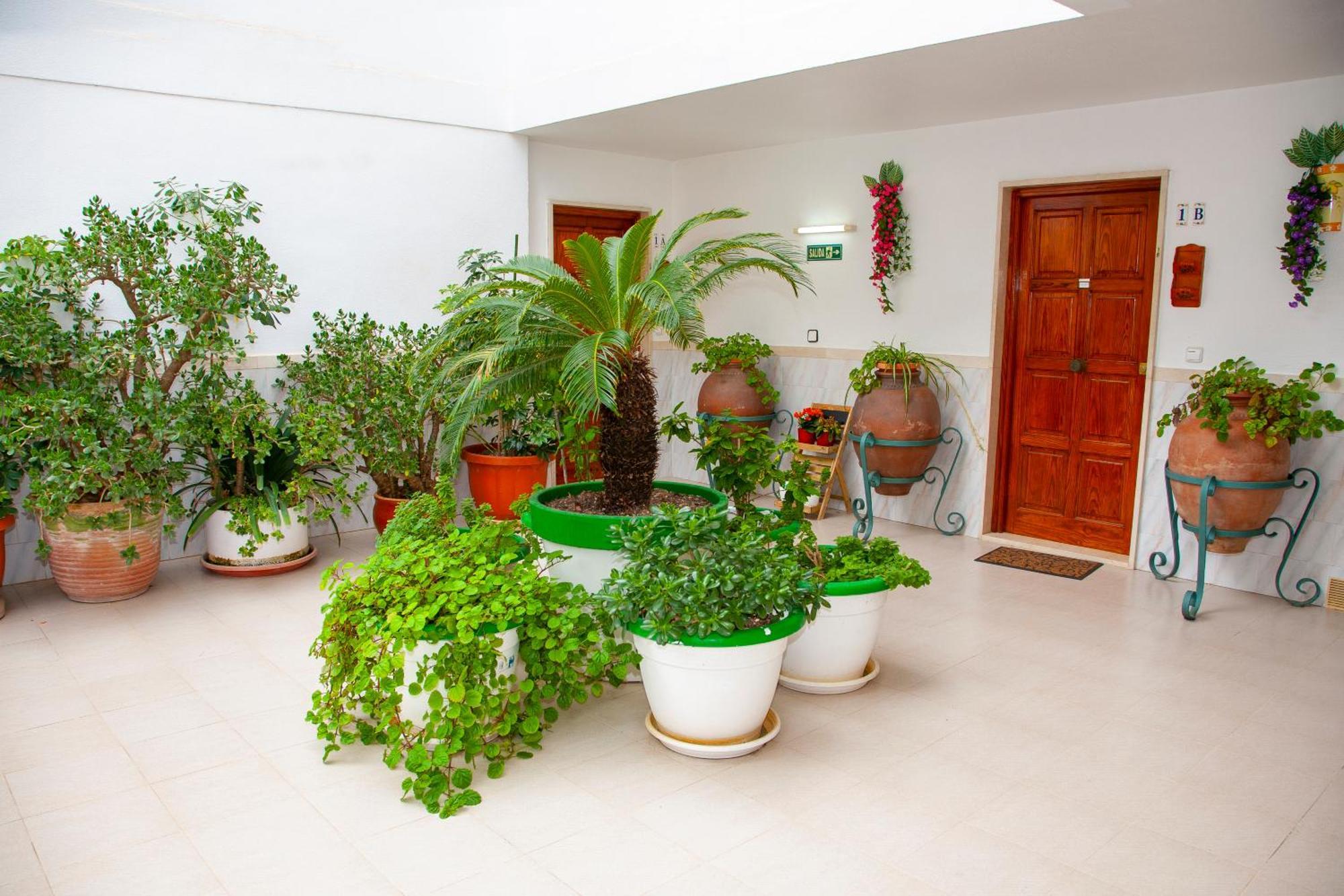 פגוארה Atalaya Bosque Apartamentos מראה חיצוני תמונה